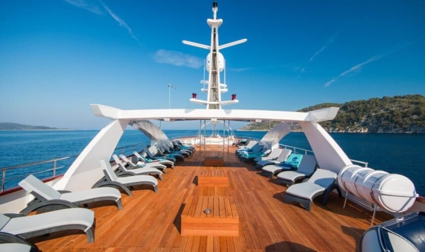 Stories From the Wild: A Traveler’s Perspective